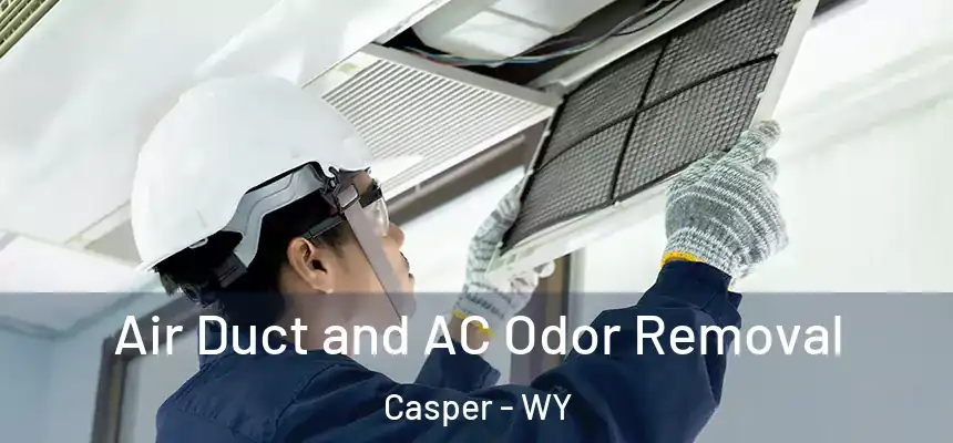 Air Duct and AC Odor Removal Casper - WY