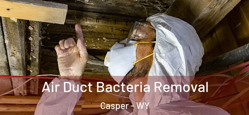  Air Duct Bacteria Removal Casper - WY