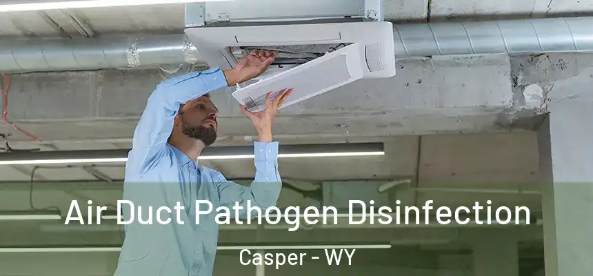  Air Duct Pathogen Disinfection Casper - WY