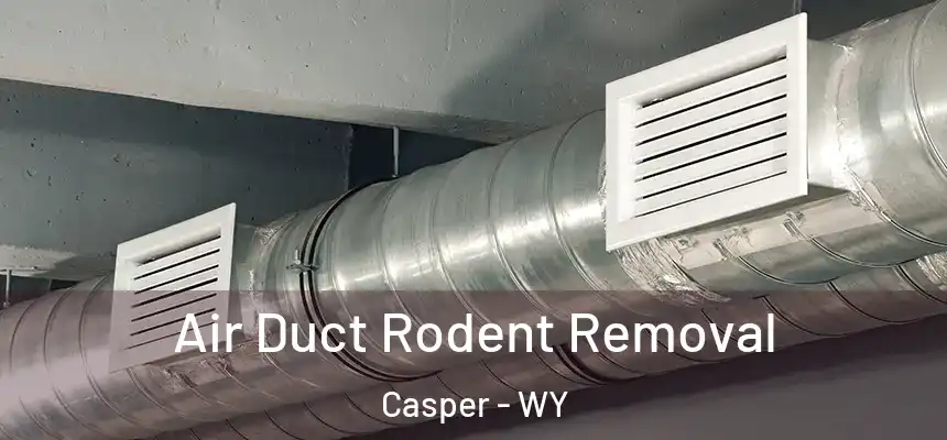  Air Duct Rodent Removal Casper - WY