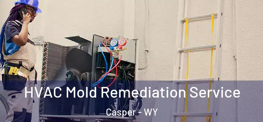  HVAC Mold Remediation Service Casper - WY