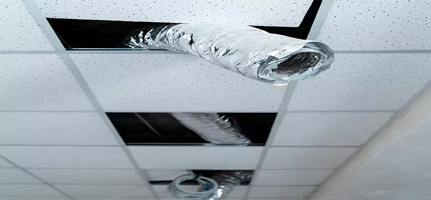 Affordable HVAC Sanitizing After Pest Removal in Casper