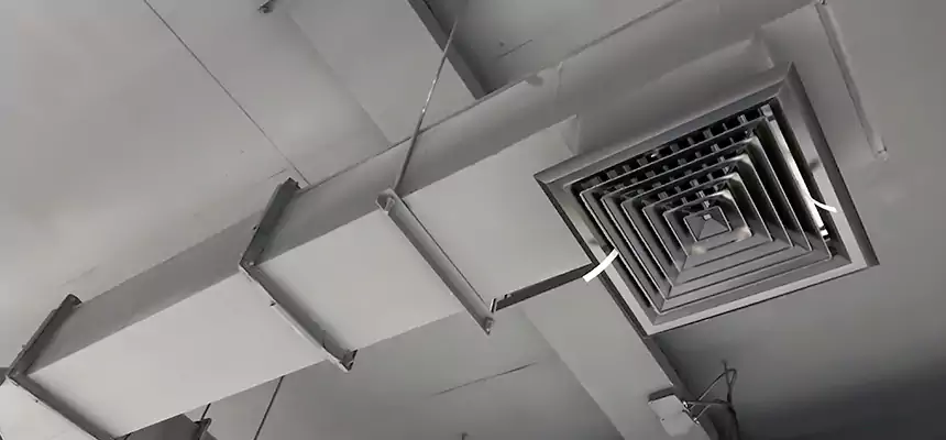 Our Rodent Droppings In Vents Services in Casper, WY