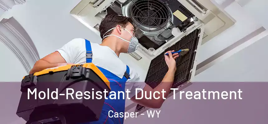  Mold-Resistant Duct Treatment Casper - WY