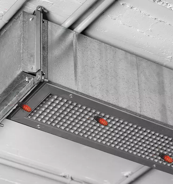 About Air Duct Cockroach Removal in Casper, WY